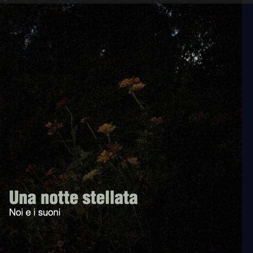 notte stellata